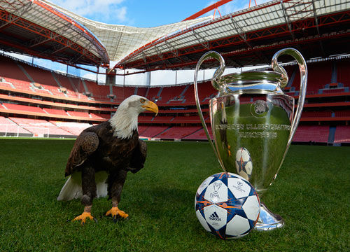 第41圈，诺里斯进站做出二停，维斯塔潘超越皮亚斯特里升至第1